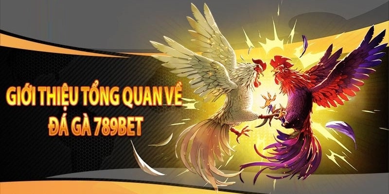 Đá gà 789bet tạo ra những trải nghiệm giải trí lý tưởng nhất